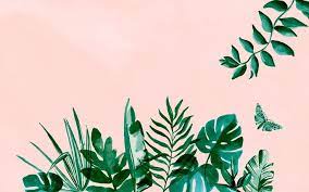 See more pinterest plum wallpaper, pinterest laptop backgrounds, pinterest backgrounds, pinterest wallpapers wreaths, pinterest wallpapers confetti, pinterest wallpaper galactic. 1856x1161 Summer Wallpapers Backgroundsss Pinterest Tropical Wallpaper Computer Wallpaper Desktop Wallpapers Plant Wallpaper Laptop Wallpaper