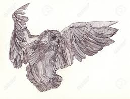 Grafik Eule Gemalt Griff Von Stift Mit Schonen Flugel Im Flug Allein Fliegen Clou Up Isoliert Auf Weissem Hintergrund Eule Malen Weisser Hintergrund Eule Zeichnung