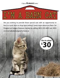 The greenville humane society strives to match people with pets that fit their lifestyles. Adopt A Barn Cat We Recognize That Not Calgary Humane Society Facebook