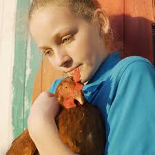 The Hammerhead Helper Fighting For Costa Rica's Sharks