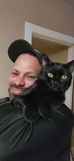 cat sleeping in weird posture