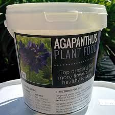 Best fertilizer for flowers uk. Agapanthus Plant Food Fairweathers Garden Centre