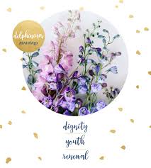We did not find results for: Delphinium Meaning And Symbolism Ftd Com