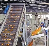 Experienced supplier of Equipment of orange juice production ...
