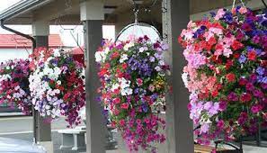 Artificial flowers hanging basket with bougainvillea silk vine flowers for outdoor basket artificial hanging plant for patio garden decor everspringus 5 out of 5 stars (141) $ 49.99 free shipping add to favorites 4pcs macrame plant hanger , artificial hanging plant, artificial hanging basket , simple minimalist boho decor for indoor outdoor. 14 Artificial Flowers In Hanging Baskets Ideas Artificial Flowers Hanging Baskets Flowers
