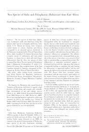 Image result for Polysphaeria multiflora