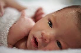 363 Newborn Baby Open Eyes Stock Photos Pictures Royalty Free Images Istock