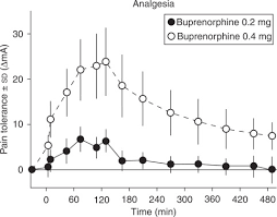 Lower levels (blood levels of buprenorphine below the ceiling level) still have some effects on cravings. Buprenorphine Induces Ceiling In Respiratory Depression But Not In Analgesia Sciencedirect