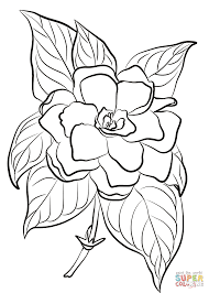 Gardenia Dibujo Para Colorear Categorias Gardenia Paginas Para Imprimir Y Colorear Gratis De U Flower Coloring Pages Coloring Pages Leather Tooling Patterns
