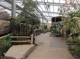 Zoologischer Garten Magdeburg Africambo Elephants And Cohabiting Species View Into The Elephant House