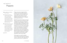 It this process or experience is what is known as a healing crisis, and happens rarely. The Healing Power Of Flowers Discover The Secret Language Of The Flowers You Love Bowen Claire Nemeth Eva Amazon De Bucher
