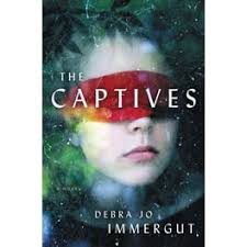 Botetourt County (Paperback) by Debra Alderson McClane