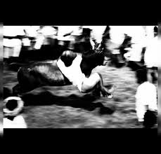 Translation is dam ghutna and suffocate synonym words asphyxiate, choke, gag, smother and strangle. Banning Jallikattu Will Undermine Tamil Nadu S Indigenous Cattle Breeds