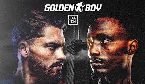 Fernando Montiel Boxing Record