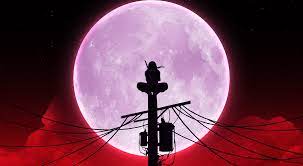 Check spelling or type a new query. Blood Moon Itachi 4k Anime Live Wallpaper 34679 Download Free