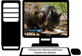 Ini untuk mempermudah kucing sakit dalam memakan makanan dan menjilatinya. 5 Makanan Dan Minuman Untuk Kucing Kampung Harus Dipahami