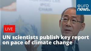 Jul 29, 2021 · by emma gatten 6 aug 2021, 7:50pm curiosity killed the bat: Eyx7xvzjrokbem