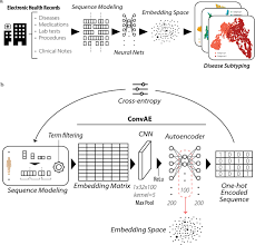 Zhealth documentation & coding software. Deep Representation Learning Of Electronic Health Records To Unlock Patient Stratification At Scale Npj Digital Medicine