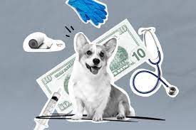 We did not find results for: How To Buy Pet Insurance Money