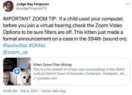 A texas lawyer whose mishap with a cat filter on zoom has made him an internet sensation says he is surprised at the global reaction. Zoom Cat Lawyer I M Not A Cat Know Your Meme
