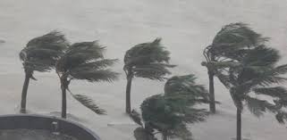 Though it changed direction near kanyakumari and headed towards the lakshadweep islands in the arabian sea, it caused havoc and destruction in the southernmost districts of tamilnadu and kerala. Live Chennai Cyclone Ockhi Live Updates Nov 30 Cyclone Ockhi Live Updates Cyclone Ockhi Cyclone Ockhi Kanyakumari Kanyakumari Cyclone Ockhi Weather Update