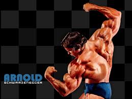 Arnold schwarzenegger conquer wallpaper hd. Hd Wallon Arnold Schwarzenegger Conquer Wallpaper Hd