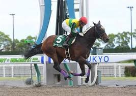 Jc女子中学生, js女子小学生, オッパイ, スク水 aliceclub. T1b2uv8eu3aumm