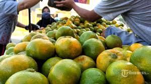 Check spelling or type a new query. Akademisi Ui Minta Masyarakat Kampanyekan Buah Lokal Tribunnews Com Mobile