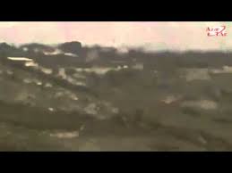 Susanin daglari indir, susanin daglari videoları 3gp, mp4, flv mp3 gibi indirebilir ve indirmeden izleye ve dinleye bilirsiniz. Xan Susinski Susanin Daglari Youtube