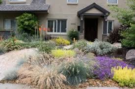 Check spelling or type a new query. 30 Best California Landscape Dream Ideas Drought Tolerant Landscape Drought Tolerant Landscape