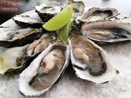 Namun dengan banyaknya jenis usaha yang serupa, membuat persaingan juga ketat. Makanan Laut 8 Gambar Seperti Apa Kerang Hidup