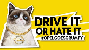 OpelGoesGrumpy: Dojo und Grumpy Cat kapern die Social-Media-Accounts von  Opel
