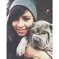 Allison Boone CPA , 1160 N Dutton Ave, Ste 130, Santa Rosa, CA 95401, US