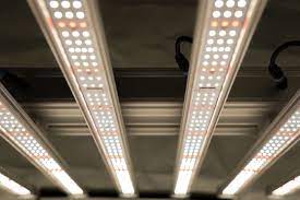 When evaluating grow lights, think about where your plants will be located and how much supplemental light they will need to induce photosynthesis. Grow Light Maintenance