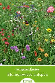 So Geht S Blumenwiese Anlegen Auf Dem Eigenen Rasen In 2020 Blumen Wiese Blumenwiese Blumenwiese Anlegen