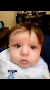 Lynne Paris (@lynneparis) • Instagram photos and videos