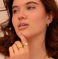 Stainless steel rings