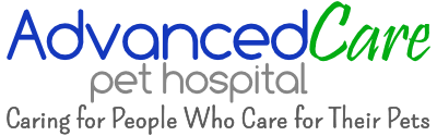 Honorable mention in sc times, best of. Advanced Care Pet Hospital St Cloud Mn Vet Animal Clinic Mn Vet 320 257 0911