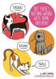 What Noises Do Animals Make In Other Languages Here Is An Important Guide Animal Sounds Cat Language Nyan Cat