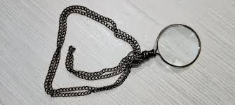 Image result for Monotes magnificus