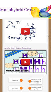 It is essential that you know the all of the vocabulary inlcuded in the cheat sheet as well. Monohybrid Cross Interactive Worksheet By Christina Dotson Staff Leesvillerdhs Wizer Me