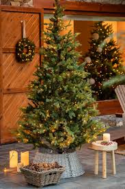 Erome catty lares isabella bbb nua Cosmid - Blair Watson