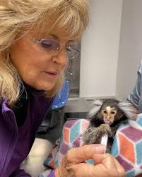 This Chicago exotic animal clinic welcomes all new patients like this <3