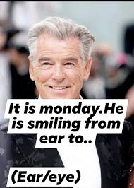 Exploring the phrase 'grinning from ear to ear' and its variations