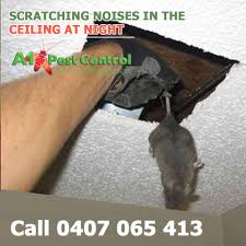 Scratching in ceiling at night. Facebook