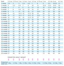 Growth Chart Yorkies Tiny Dog Health Yorkie Puppy