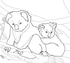 An ursuring shows up in the later chapters and nearly beats both pikachu and pichi to death. Mother And Baby Koala Coloring Page Free Printable Coloring Pages For Kids