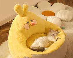 cat sleeping on a fluffy cushionの画像