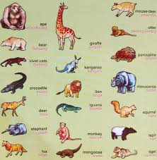 Kawasan fauna pucat meliputi hampir seluruh benua eurasia dan beberapa wilayah lainnya contohnya negara himalaya, inggris, afganistan, afrika dan jepang. 5500 Gambar Hewan Dan Namanya Dalam Bahasa Inggris Hd Terbaru Gambar Hewan