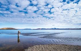 Photo by grunkhead, from wikimedia, creative commons.no edits made. Crazy Big Brown Trout In Iceland Anglers Journal A Fishing Life